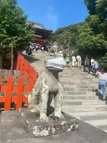 鶴岡八幡宮の狛犬