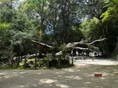 葛木坐火雷神社の{uncategorized: "未分類", other: "その他", undefined: "問題あり", building: "その他建物", grave: "お墓", sacred_gate: "鳥居", guardian: "狛犬", statue: "像", buddha: "仏像", history: "歴史", nature: "自然", garden: "庭園", animal: "動物", pagoda: "塔", temizu: "手水舎", mountain_gate: "山門・神門", sanctuary: "本殿・本堂", subordinate: "末社・摂社", art: "芸術", scenery: "景色", jizo: "地蔵", ema: "絵馬", goshuin: "御朱印", omikuji: "おみくじ", items: "授与品その他", amulet: "お守り", goshuincho: "御朱印帳", eats: "食事", festival: "お祭り", votive_dance: "神楽", shichigosan: "七五三参", wedding: "結婚式", experience: "体験その他", initially: "初詣", around: "周辺", anti_infection: "感染症対策"}