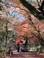 山内神社(高知県)