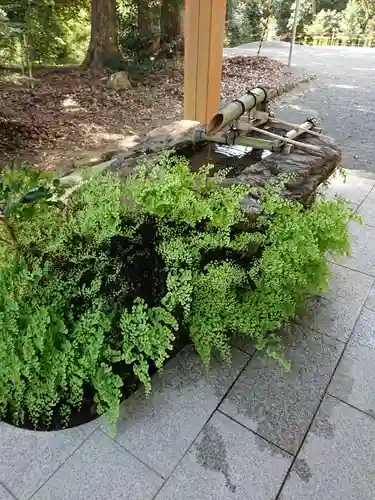 渭伊神社の手水