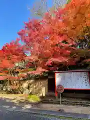 今熊野観音寺(京都府)