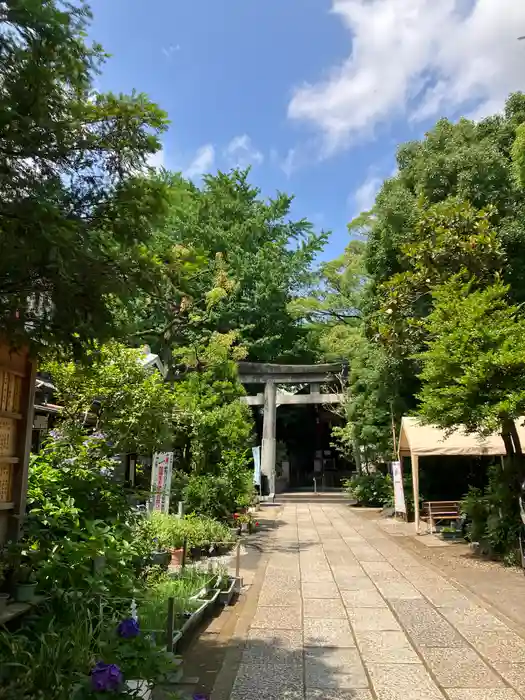 天祖神社の鳥居