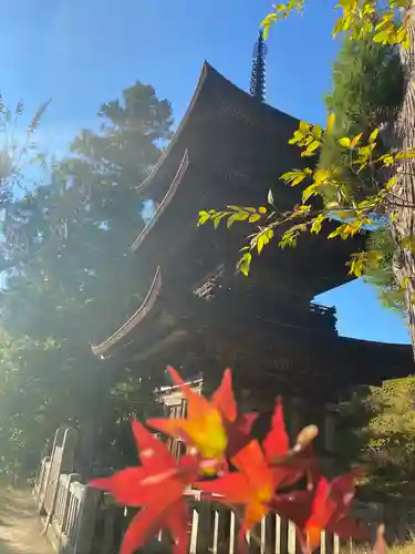 国宝 大法寺の塔