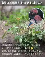 宝光寺(北海道)