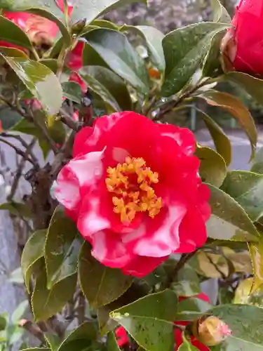 多治速比売神社(大阪府)