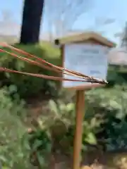 宮尾八幡宮の自然