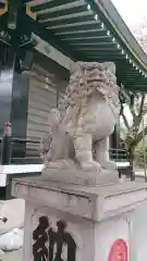 須賀神社の狛犬