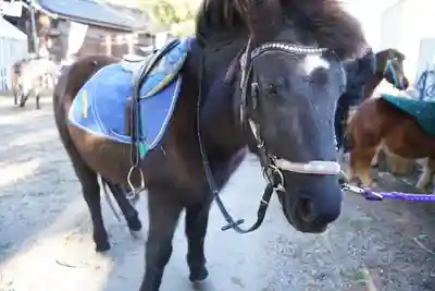 賀茂神社(滋賀県)