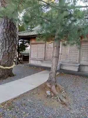 大井神社の自然