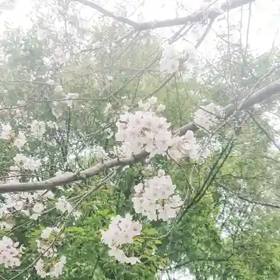 宗形神社の自然