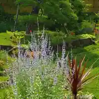 寿量山 速成寺の庭園