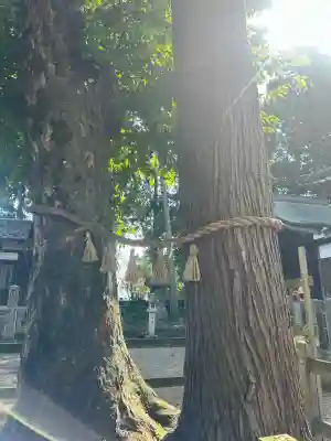 春日神社(福井県)