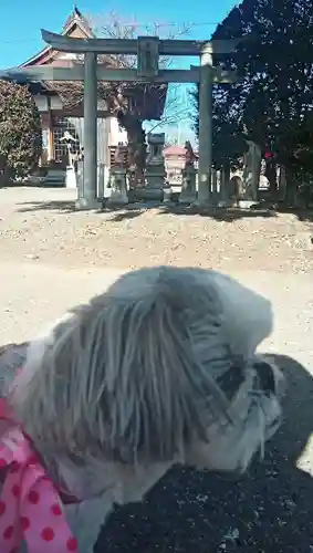 法音寺の末社・摂社