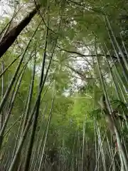 熊野神社の自然