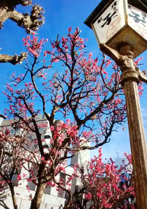大國神社(東京都)