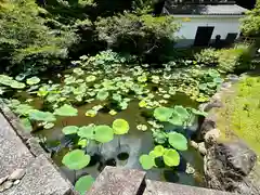 知恩院(京都府)