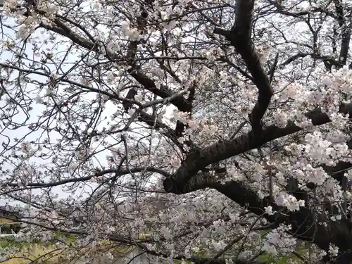 八面神社(愛知県)