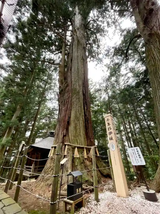 鷲子山上神社の{uncategorized: "未分類", other: "その他", undefined: "問題あり", building: "その他建物", grave: "お墓", sacred_gate: "鳥居", guardian: "狛犬", statue: "像", buddha: "仏像", history: "歴史", nature: "自然", garden: "庭園", animal: "動物", pagoda: "塔", temizu: "手水舎", mountain_gate: "山門・神門", sanctuary: "本殿・本堂", subordinate: "末社・摂社", art: "芸術", scenery: "景色", jizo: "地蔵", ema: "絵馬", goshuin: "御朱印", omikuji: "おみくじ", items: "授与品その他", amulet: "お守り", goshuincho: "御朱印帳", eats: "食事", festival: "お祭り", votive_dance: "神楽", shichigosan: "七五三参", wedding: "結婚式", experience: "体験その他", initially: "初詣", around: "周辺", anti_infection: "感染症対策"}