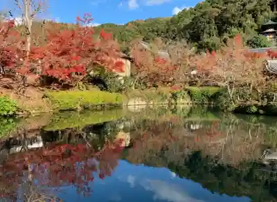 禅林寺（永観堂）の{uncategorized: "未分類", other: "その他", undefined: "問題あり", building: "その他建物", grave: "お墓", sacred_gate: "鳥居", guardian: "狛犬", statue: "像", buddha: "仏像", history: "歴史", nature: "自然", garden: "庭園", animal: "動物", pagoda: "塔", temizu: "手水舎", mountain_gate: "山門・神門", sanctuary: "本殿・本堂", subordinate: "末社・摂社", art: "芸術", scenery: "景色", jizo: "地蔵", ema: "絵馬", goshuin: "御朱印", omikuji: "おみくじ", items: "授与品その他", amulet: "お守り", goshuincho: "御朱印帳", eats: "食事", festival: "お祭り", votive_dance: "神楽", shichigosan: "七五三参", wedding: "結婚式", experience: "体験その他", initially: "初詣", around: "周辺", anti_infection: "感染症対策"}