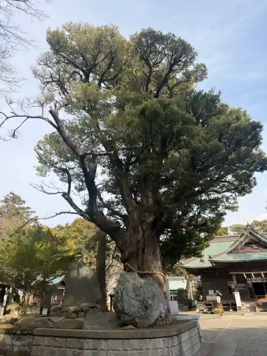 鶴谷八幡宮の{uncategorized: "未分類", other: "その他", undefined: "問題あり", building: "その他建物", grave: "お墓", sacred_gate: "鳥居", guardian: "狛犬", statue: "像", buddha: "仏像", history: "歴史", nature: "自然", garden: "庭園", animal: "動物", pagoda: "塔", temizu: "手水舎", mountain_gate: "山門・神門", sanctuary: "本殿・本堂", subordinate: "末社・摂社", art: "芸術", scenery: "景色", jizo: "地蔵", ema: "絵馬", goshuin: "御朱印", omikuji: "おみくじ", items: "授与品その他", amulet: "お守り", goshuincho: "御朱印帳", eats: "食事", festival: "お祭り", votive_dance: "神楽", shichigosan: "七五三参", wedding: "結婚式", experience: "体験その他", initially: "初詣", around: "周辺", anti_infection: "感染症対策"}