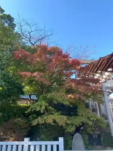 伊勢山皇大神宮の自然