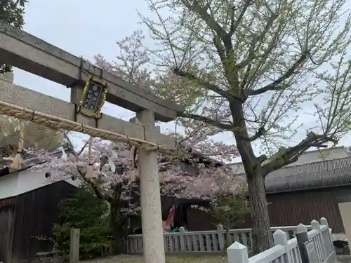 顕宗仁賢神社の鳥居