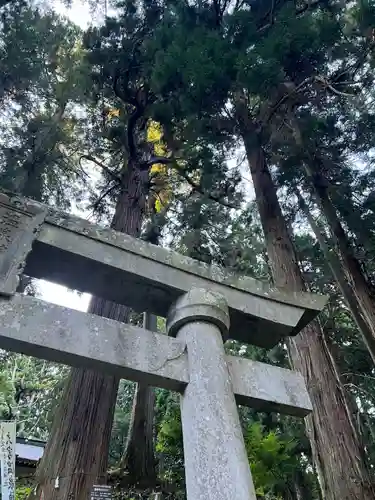 大宮温泉神社(栃木県)