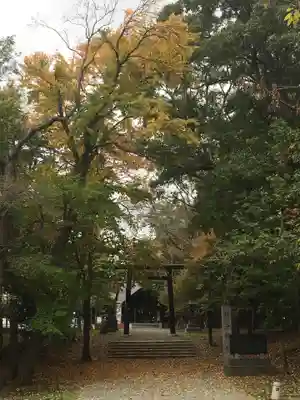 錦山天満宮の鳥居