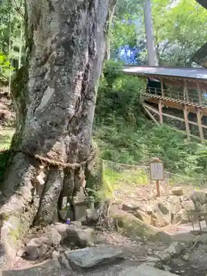 丹生川上神社（下社）(奈良県)