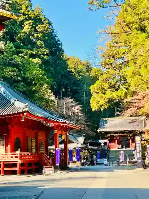 日光山輪王寺 常行堂の{uncategorized: "未分類", other: "その他", undefined: "問題あり", building: "その他建物", grave: "お墓", sacred_gate: "鳥居", guardian: "狛犬", statue: "像", buddha: "仏像", history: "歴史", nature: "自然", garden: "庭園", animal: "動物", pagoda: "塔", temizu: "手水舎", mountain_gate: "山門・神門", sanctuary: "本殿・本堂", subordinate: "末社・摂社", art: "芸術", scenery: "景色", jizo: "地蔵", ema: "絵馬", goshuin: "御朱印", omikuji: "おみくじ", items: "授与品その他", amulet: "お守り", goshuincho: "御朱印帳", eats: "食事", festival: "お祭り", votive_dance: "神楽", shichigosan: "七五三参", wedding: "結婚式", experience: "体験その他", initially: "初詣", around: "周辺", anti_infection: "感染症対策"}