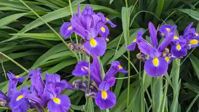 玉田神社(京都府)