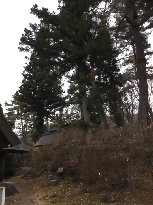 皇大神社(真田御屋敷跡)の自然