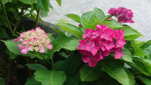 明徳稲荷神社の自然