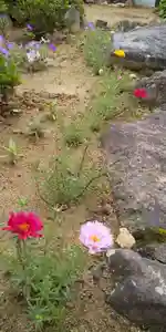 大鏑神社の庭園(2020年07月11日(土) 11時49分27秒投稿)