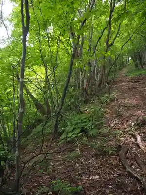 大川神社の周辺