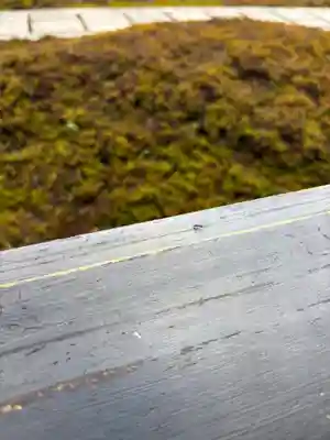 西来院(京都府)