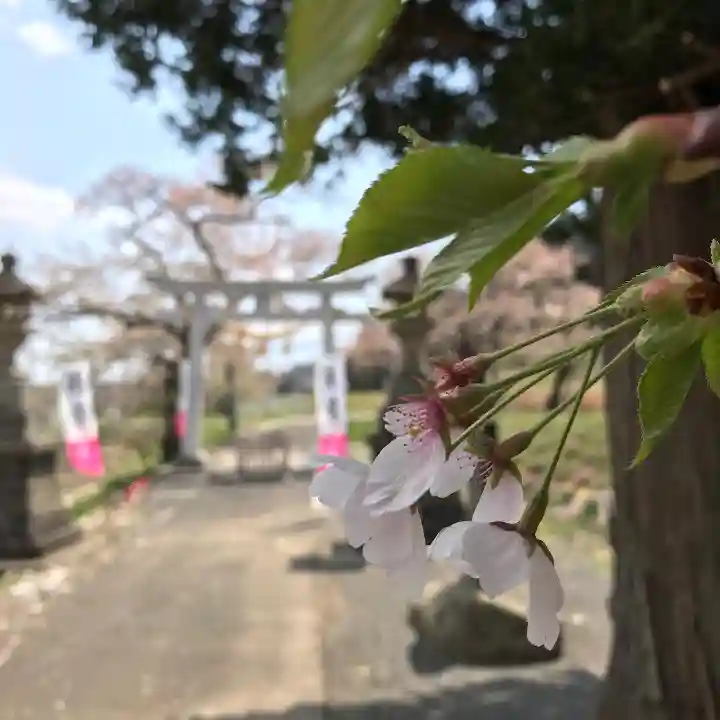 高司神社〜むすびの神の鎮まる社〜(福島県)