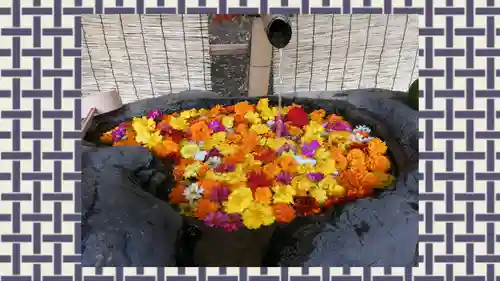 馬場氷川神社(埼玉県)
