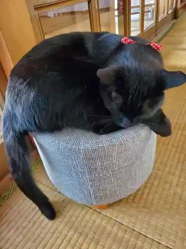 高司神社〜むすびの神の鎮まる社〜(福島県)