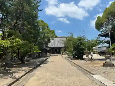 大樹寺（松安院大樹寺）(愛知県)
