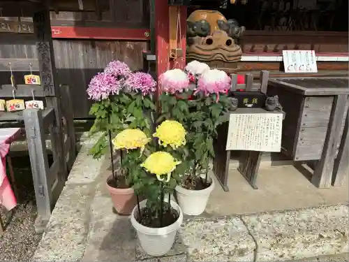 鶴峯八幡宮(千葉県)