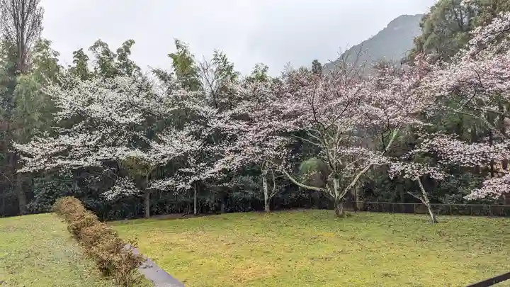 勝持寺(花の寺)(京都府)