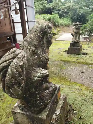 白山神社の狛犬