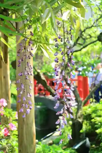 亀戸天神社の庭園