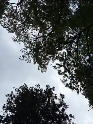 丹生川上神社（下社）(奈良県)