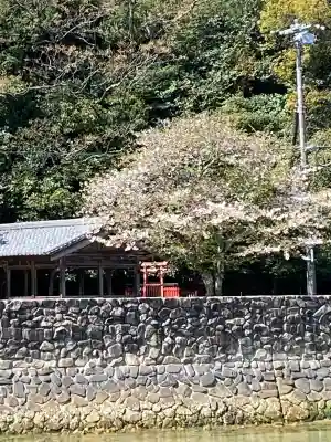 厳島神社の{uncategorized: "未分類", other: "その他", undefined: "問題あり", building: "その他建物", grave: "お墓", sacred_gate: "鳥居", guardian: "狛犬", statue: "像", buddha: "仏像", history: "歴史", nature: "自然", garden: "庭園", animal: "動物", pagoda: "塔", temizu: "手水舎", mountain_gate: "山門・神門", sanctuary: "本殿・本堂", subordinate: "末社・摂社", art: "芸術", scenery: "景色", jizo: "地蔵", ema: "絵馬", goshuin: "御朱印", omikuji: "おみくじ", items: "授与品その他", amulet: "お守り", goshuincho: "御朱印帳", eats: "食事", festival: "お祭り", votive_dance: "神楽", shichigosan: "七五三参", wedding: "結婚式", experience: "体験その他", initially: "初詣", around: "周辺", anti_infection: "感染症対策"}