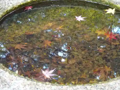 覚園寺(神奈川県)