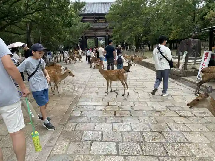 東大寺(奈良県)