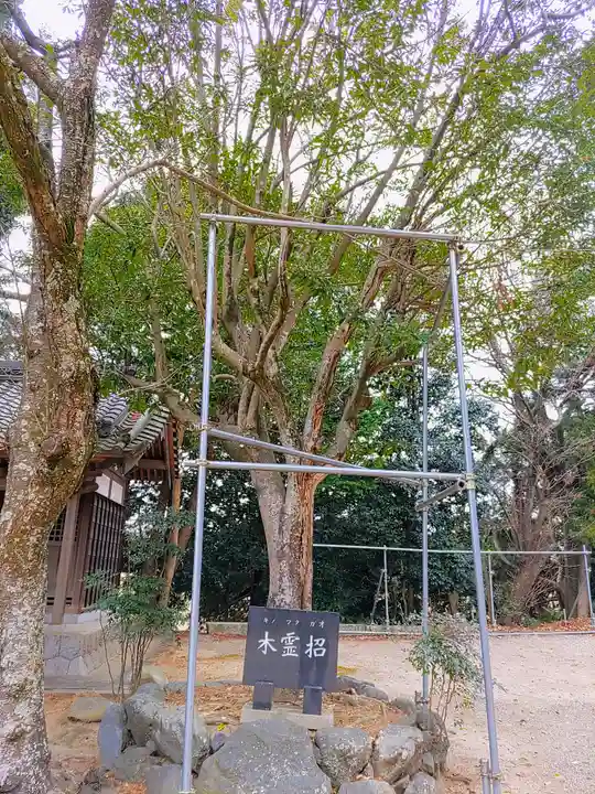 春日神社の自然