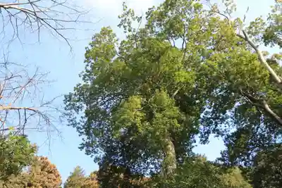 見渡神社の自然